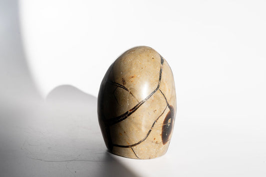 Septarian Freeform