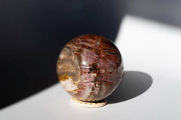 Petrified Wood