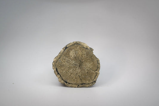 Pyrite Sun