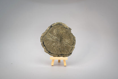 Pyrite Sun