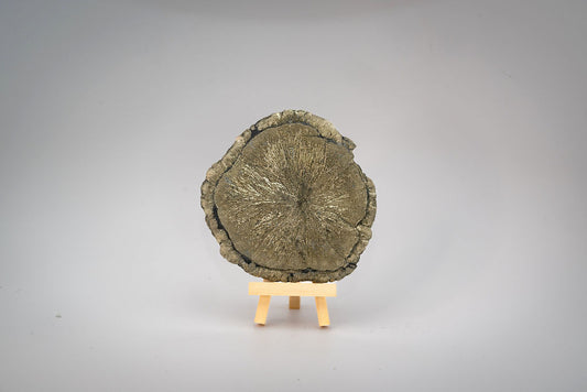 Pyrite Sun