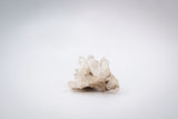 Clear Quartz Cluster