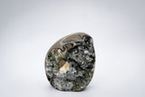 Septarian with Quartz/Calcite Freeform