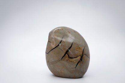 Septarian with Quartz/Calcite Freeform