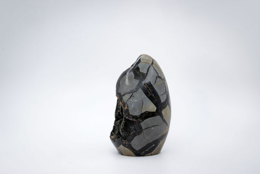 Large Septarian Freeform