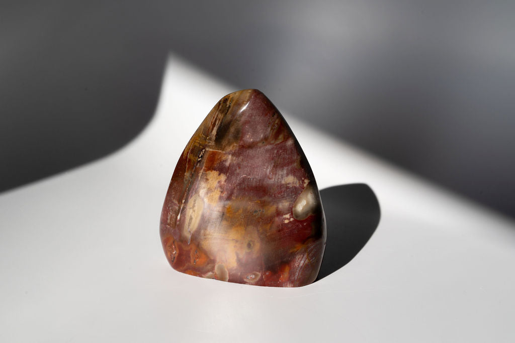 Petrified Wood Freeform