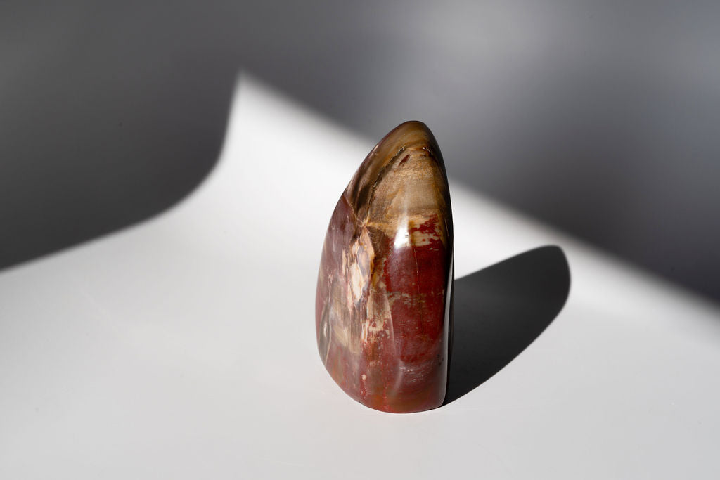 Petrified Wood Freeform