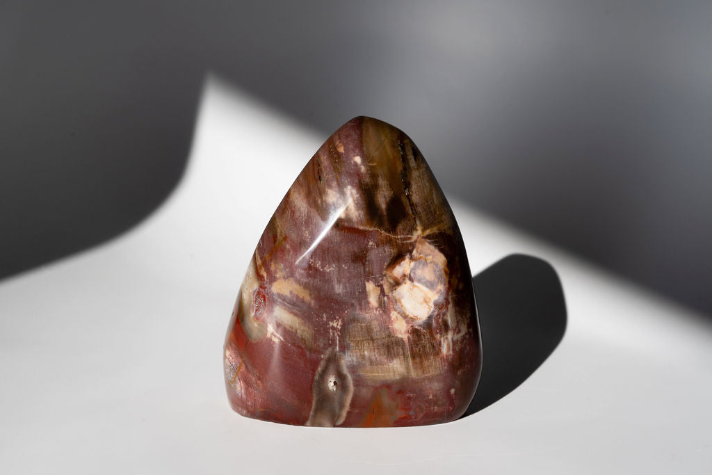 Petrified Wood Freeform
