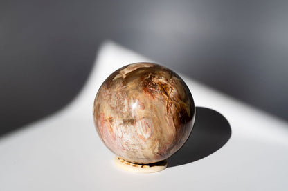 LARGE Petrified Wood Sphere
