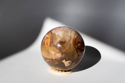 LARGE Petrified Wood Sphere