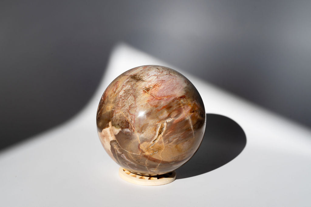 LARGE Petrified Wood Sphere