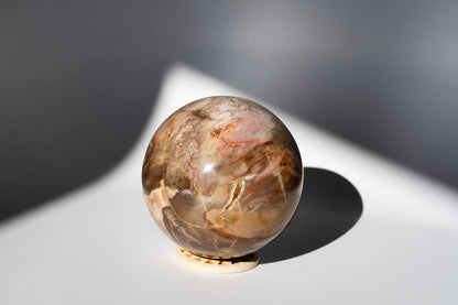 LARGE Petrified Wood Sphere
