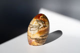 Petrified Wood Freeform