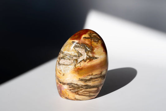Petrified Wood Freeform