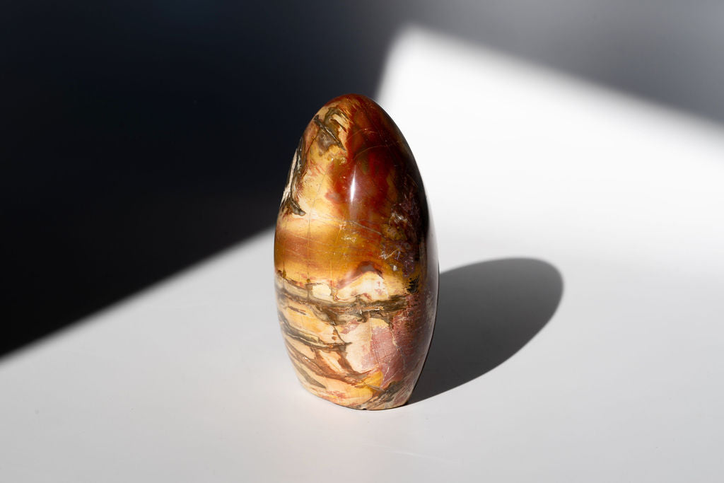 Petrified Wood Freeform