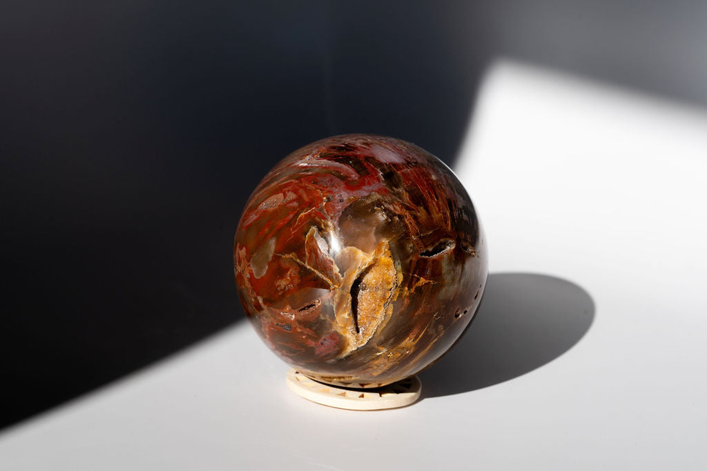 LARGE Petrified Wood Sphere