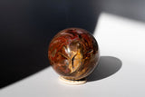 LARGE Petrified Wood Sphere