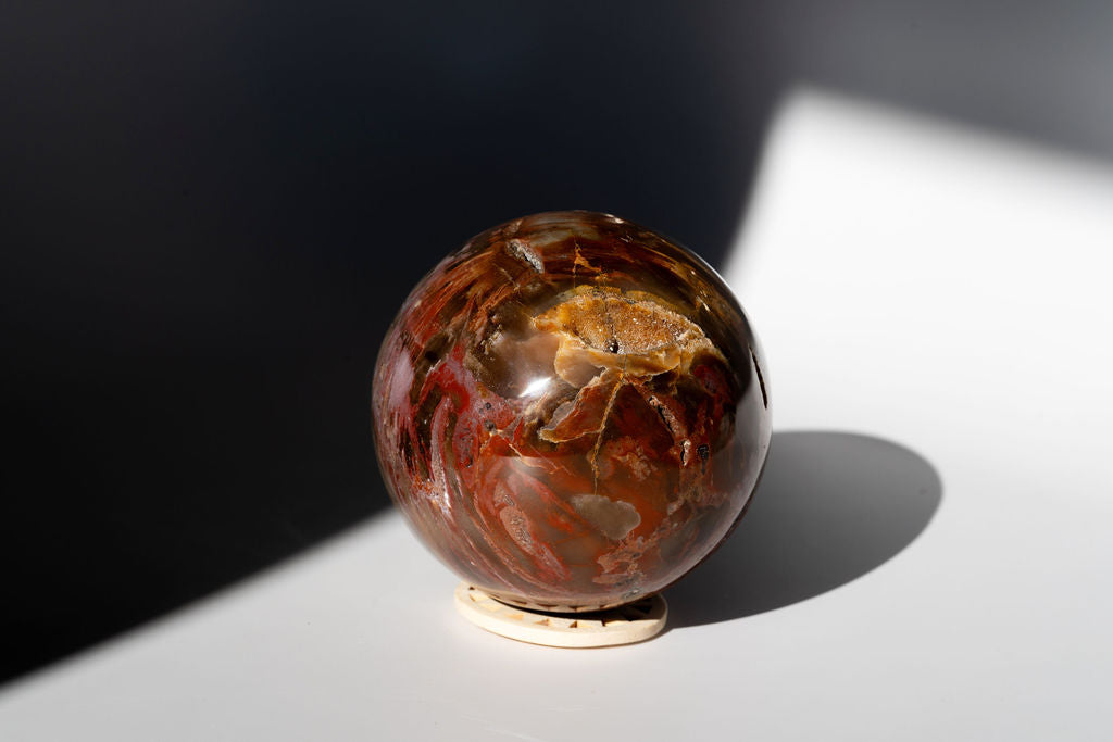 LARGE Petrified Wood Sphere