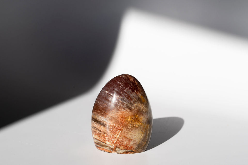 Petrified Wood Freeform