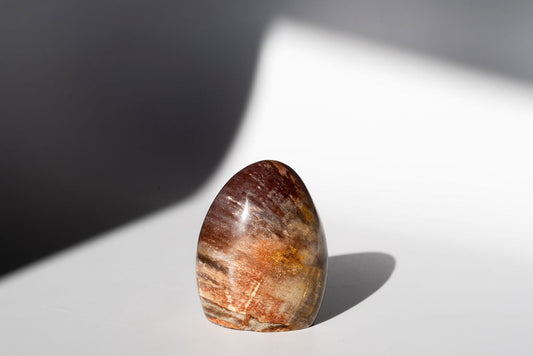 Petrified Wood Freeform