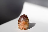 Petrified Wood Freeform