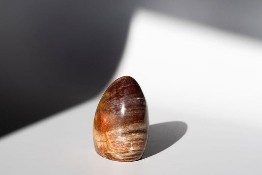 Petrified Wood Freeform