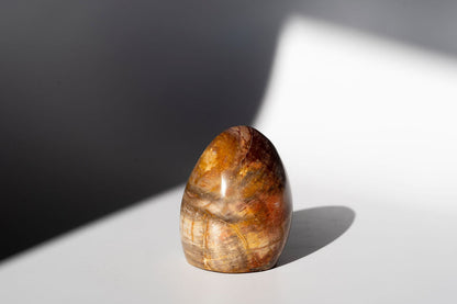 Petrified Wood Freeform