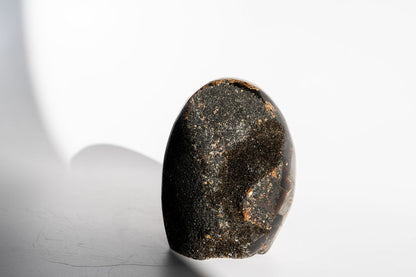 Septarian Freeform
