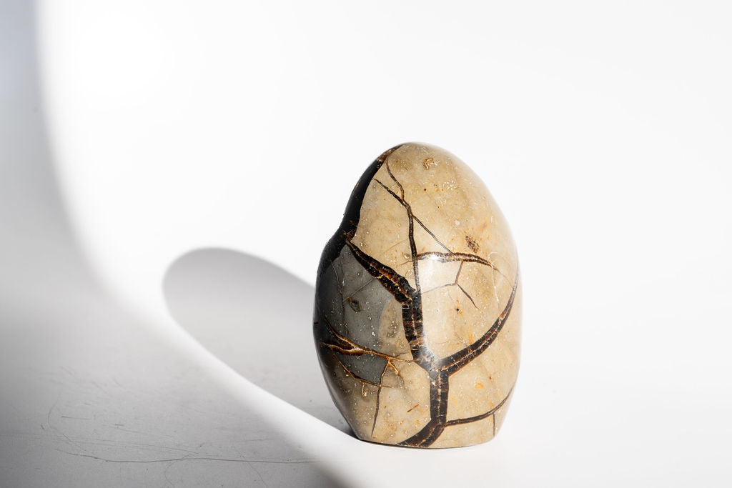 Septarian Freeform