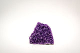 Small Amethyst Cluster