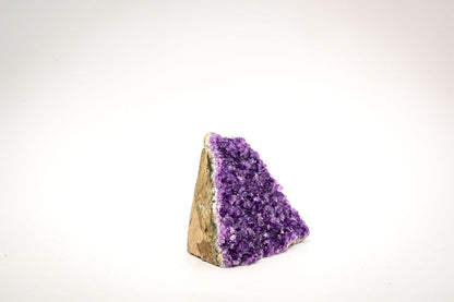 Small Amethyst Cluster