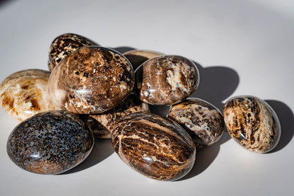 Chocolate Opal Palm Stones