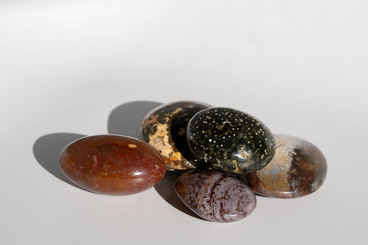 Sea Jasper Palm Stones