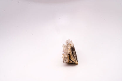 Clear Quartz Cluster