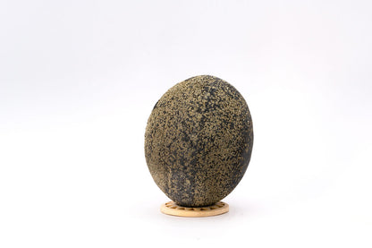 Pyrite Concretion (Spherical)