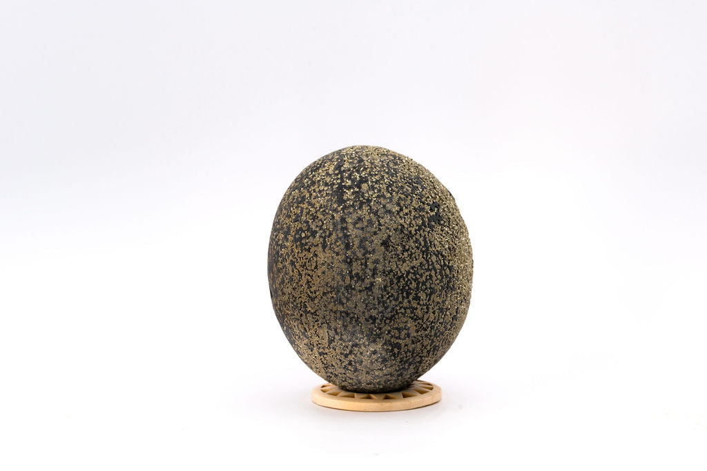 Pyrite Concretion (Spherical)