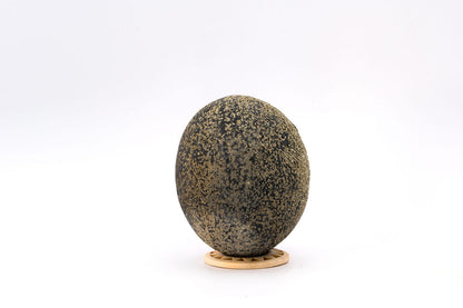 Pyrite Concretion (Spherical)